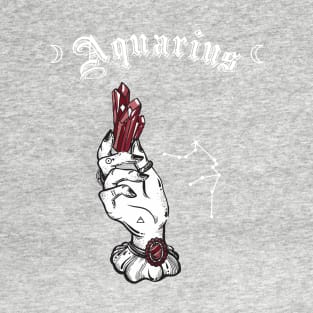 Aquarius Garnet T-Shirt